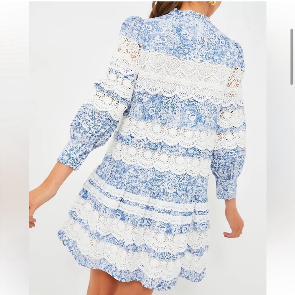 🤍HYACINTH HOUSE Lace Trim Blue Etched
Floral Emmie Mini Dress🩵 - Picture 8 of 11